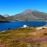 Uno Sguardo Sulla Sacra, Fiori E Frutti Almese