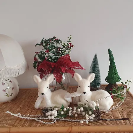 Lägenhet Fiori E Frutti - Terrazza Panoramica