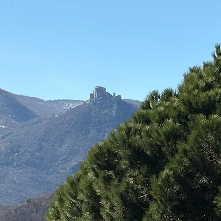 Un Balcone Sulla Valle Di Susa, Fiori E Frutti Lejlighed Almese