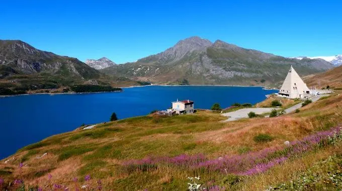Uno Sguardo Sulla Sacra, Fiori E Frutti Almese