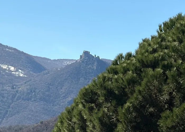Uno Sguardo Sulla Sacra, Fiori E Frutti Apartamento Almese